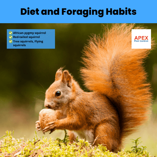 diet and foraging habits