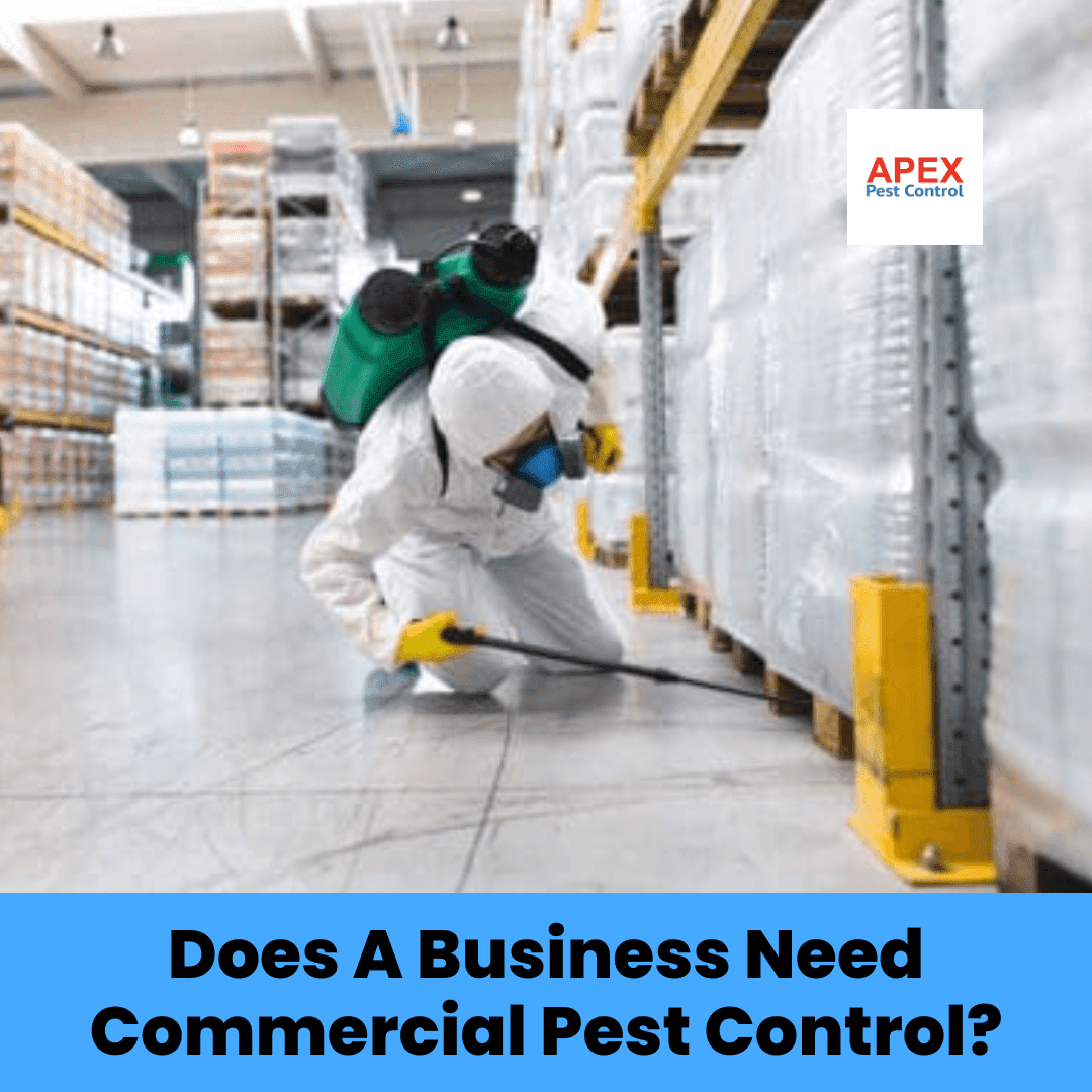 Does A Business Need Commercial Pest Control