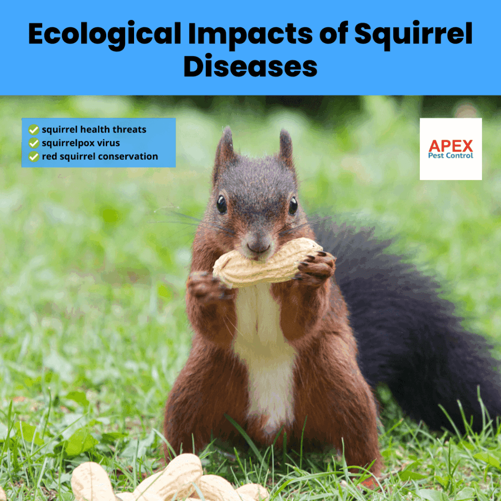 ecological impacts of squirrel diseases