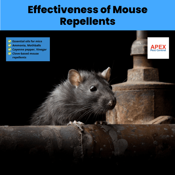 effectiveness of mouse repellents
