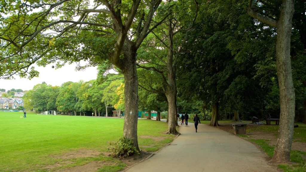 endcliffe park sheffield