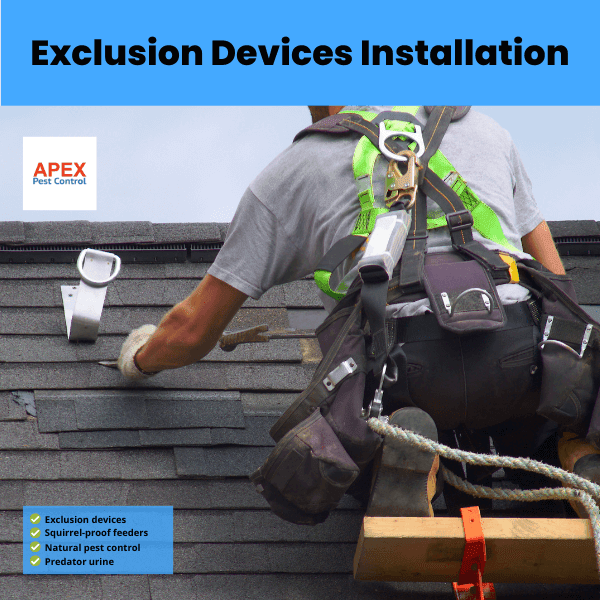 exclusion devices installation