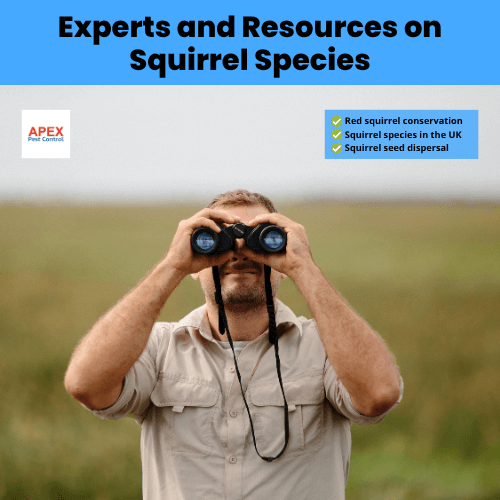 experts and resources on squirrel species