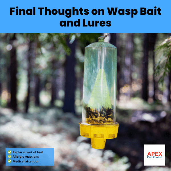 Final Thoughts on Wasp Bait and Lures