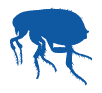 bed bug pest control Leeds