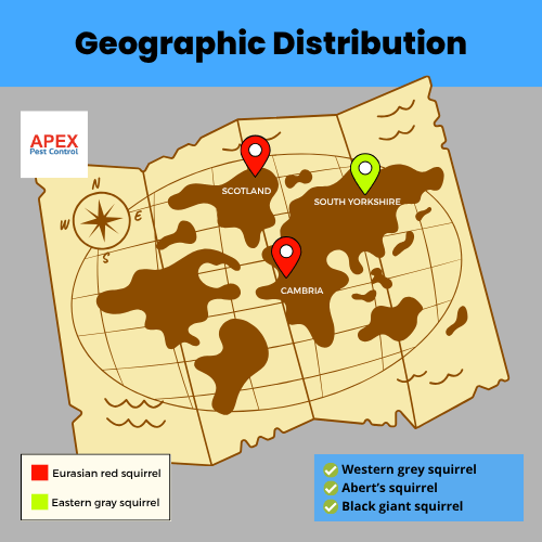 geographic distribution