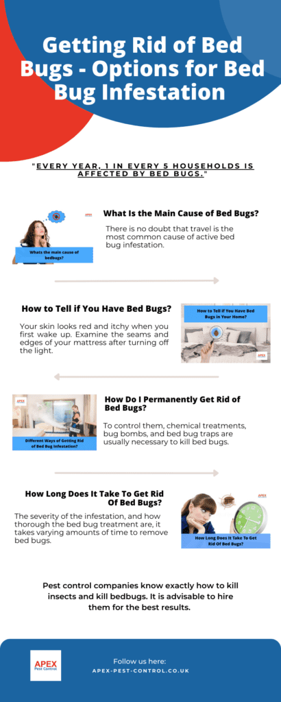 how to get rid of bed bugs 