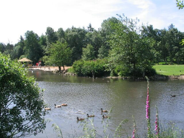golden acre park