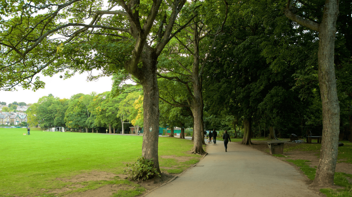 sheffield parks