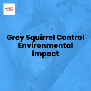 grey squirrel control environmental impact