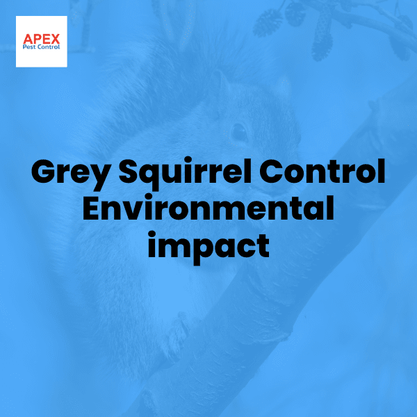 grey squirrel control environmental impact