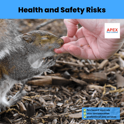 health and safety risks