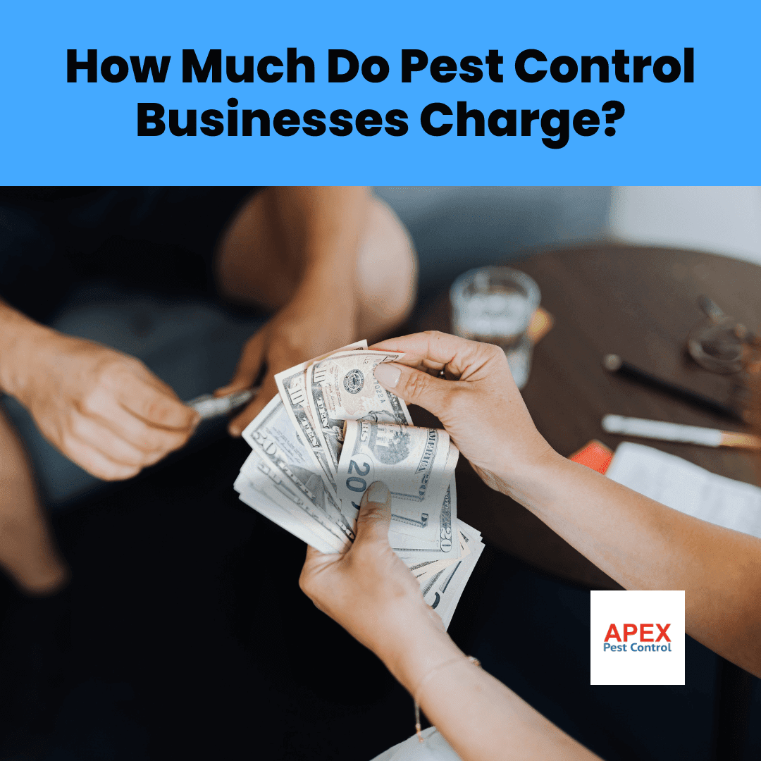 How Much Do Pest Control Businesses Charge
