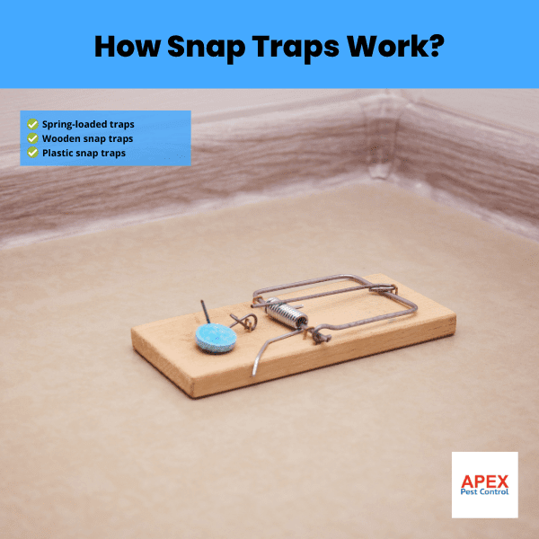 how snap traps work