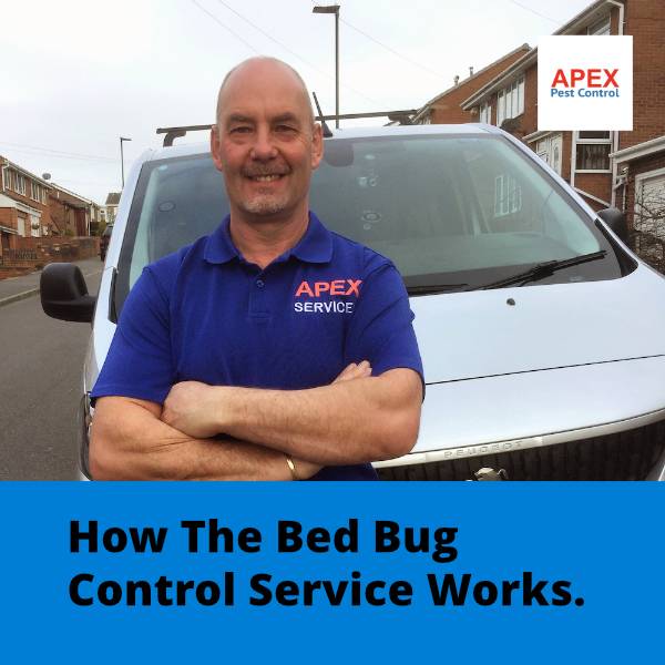 How The Bed Bug Control Service Works.