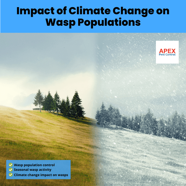 Impact of Climate Change on Wasp Populations
