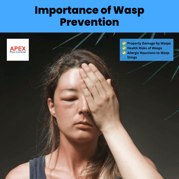 Importance of Wasp Prevention