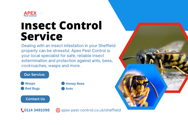 insect control sheffield