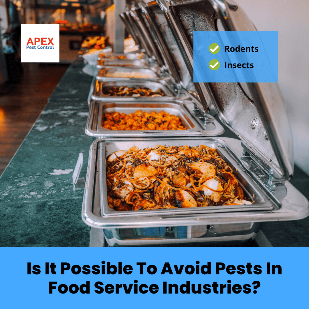 Is It Possible To Avoid Pests In Food Service Industries