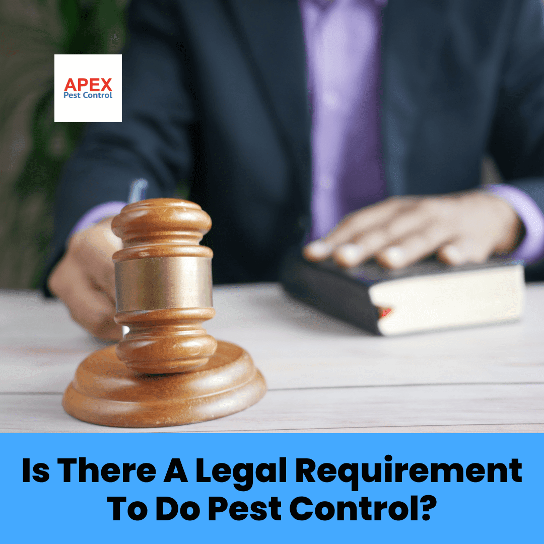 Is There A Legal Requirement To Do Pest Control