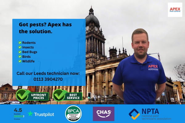Nathan — Lead Pest Control Technician, Leeds and West Yorkshire
