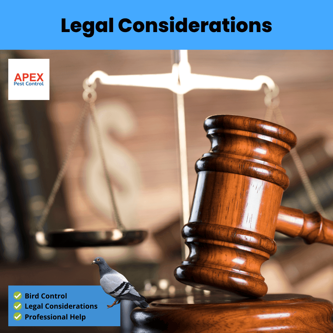 Legal Considerations