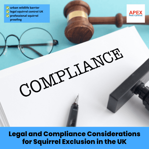 legal and compliance considerations for squirrel exclusion in the uk