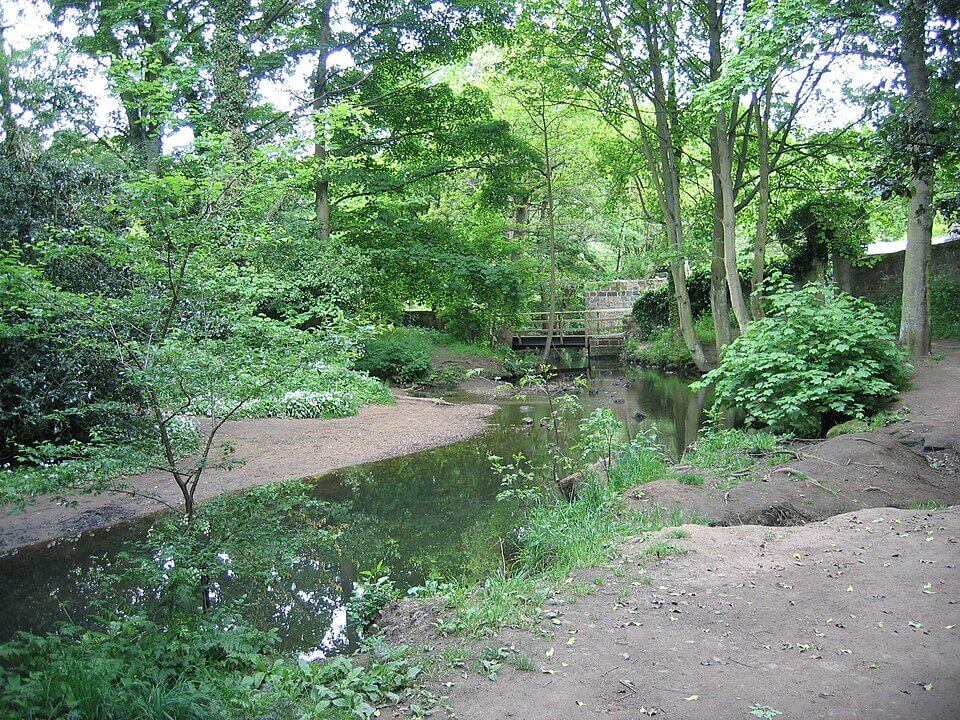 meanwood beck