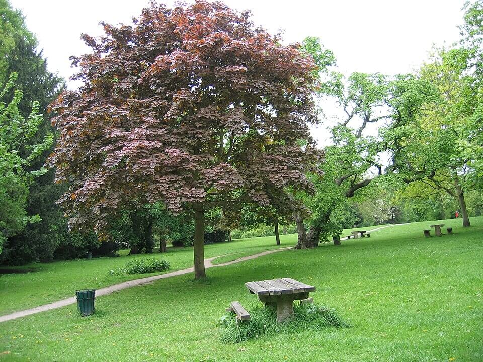 meanwood park