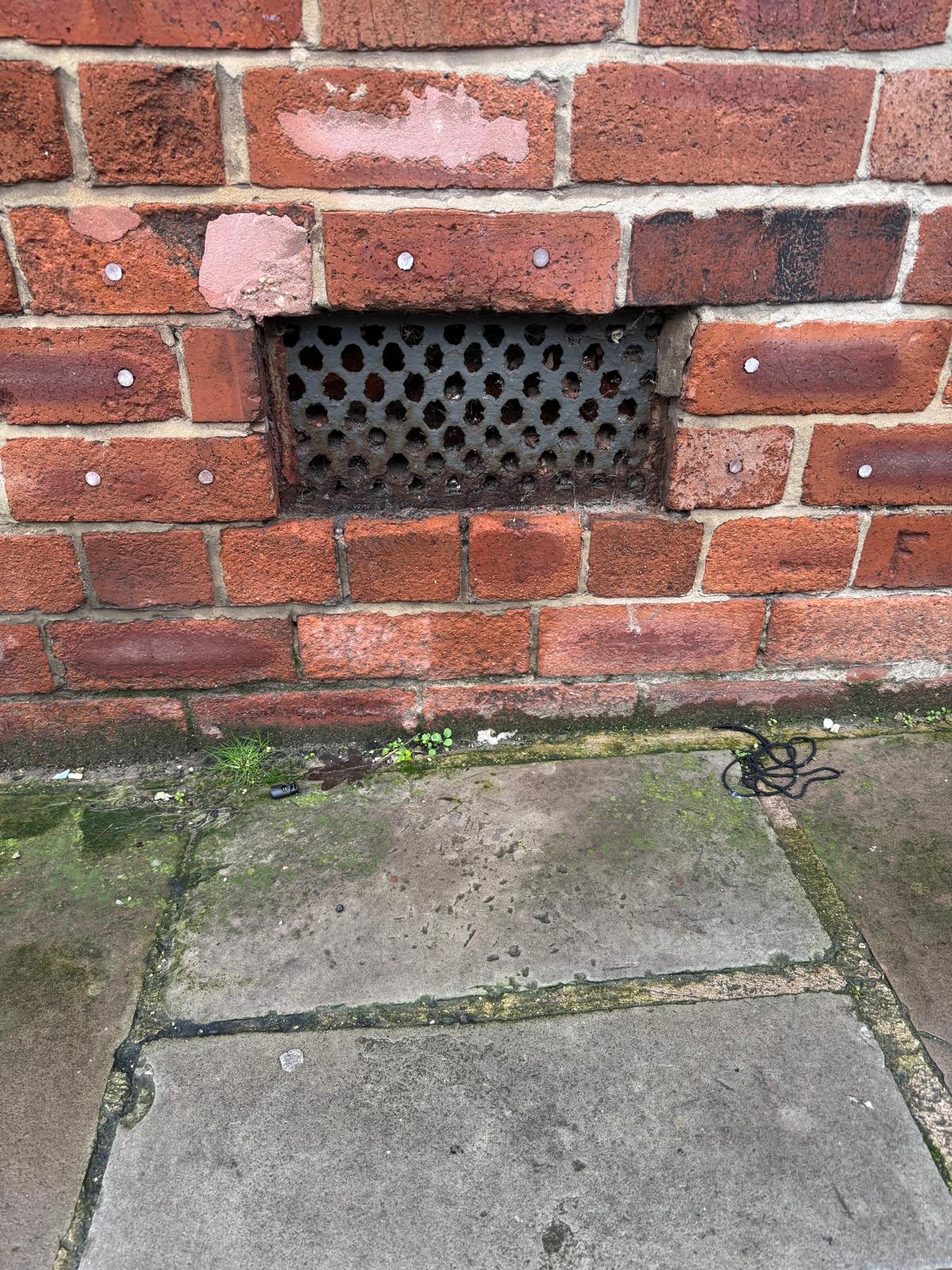 Pest control inspection identifying mice entry point through Victorian air brick on commercial premises