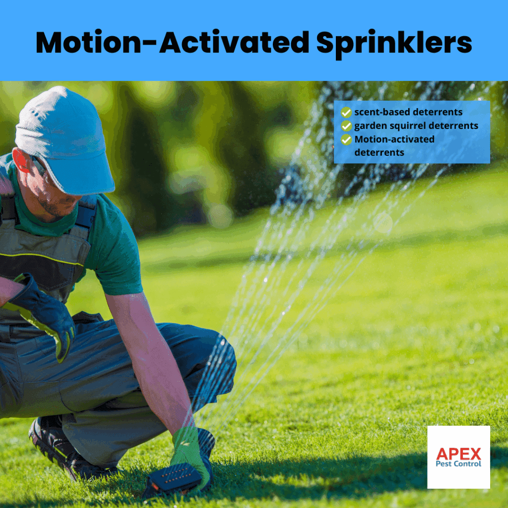 motion activated sprinklers
