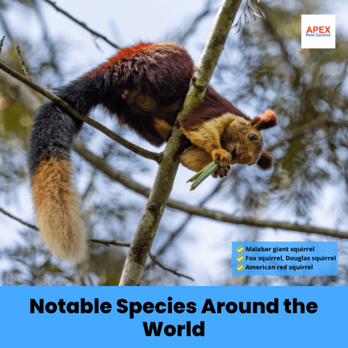 notable species around the world