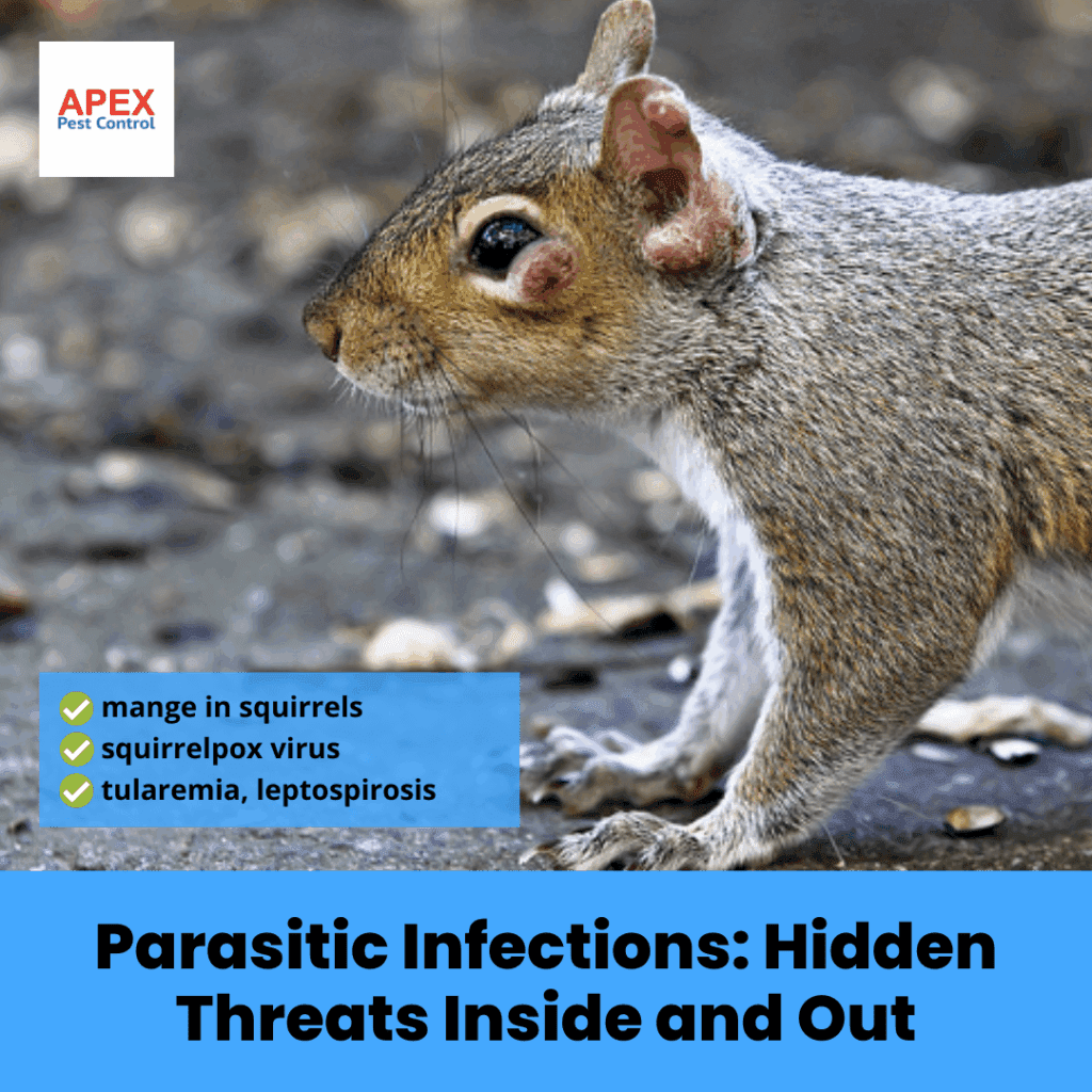 parasitic infections hidden threats inside and out
