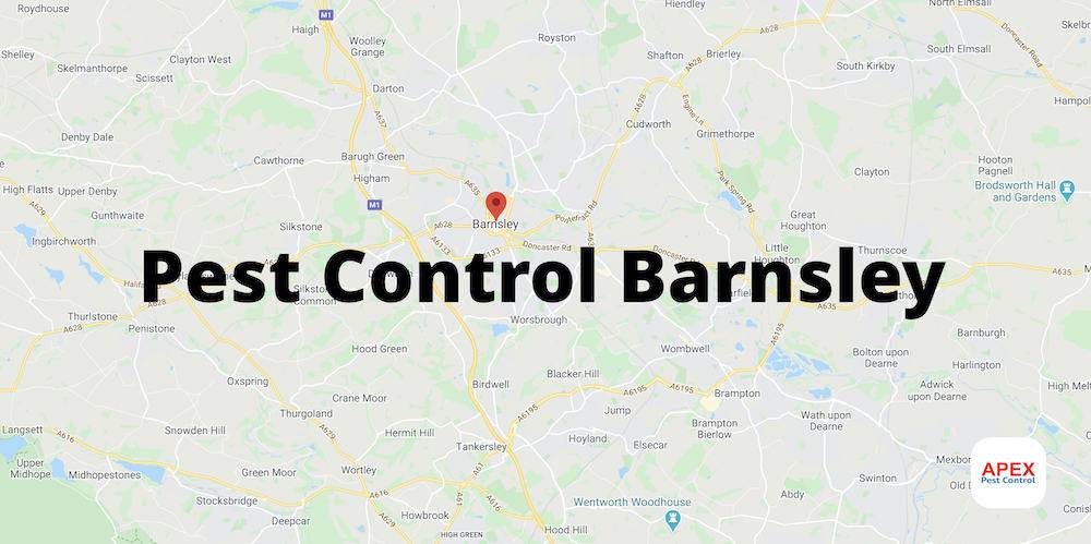 Pest Control Barnsley