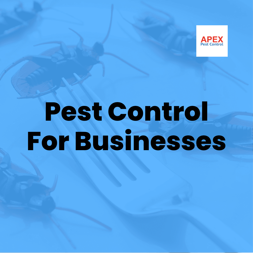 Pest Control For Businesses
