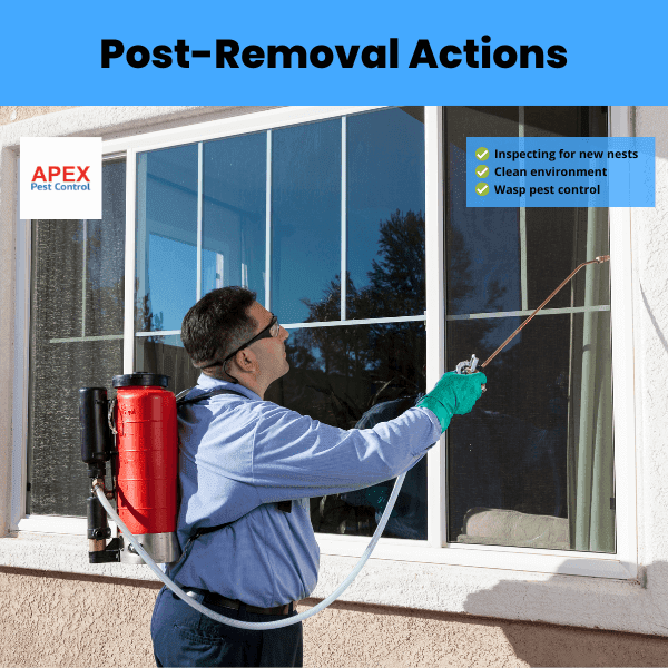 Post-Removal Actions