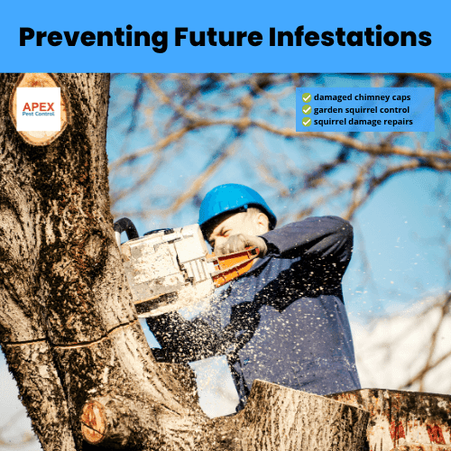 preventing future infestations
