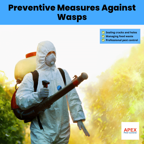 Preventive Measures Against Wasps