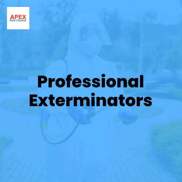 Professional Exterminators