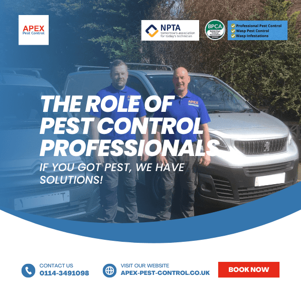 Professional Pest Control Services