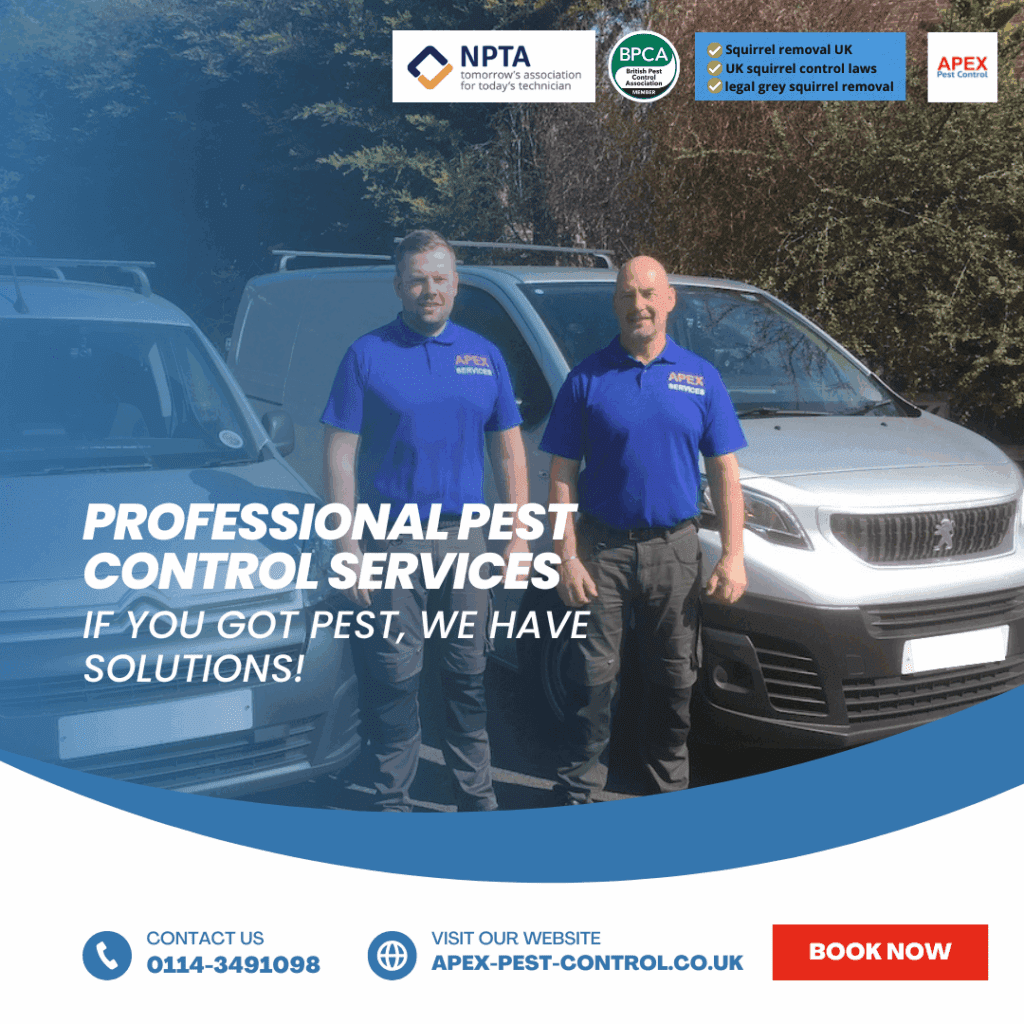 professional pest control services