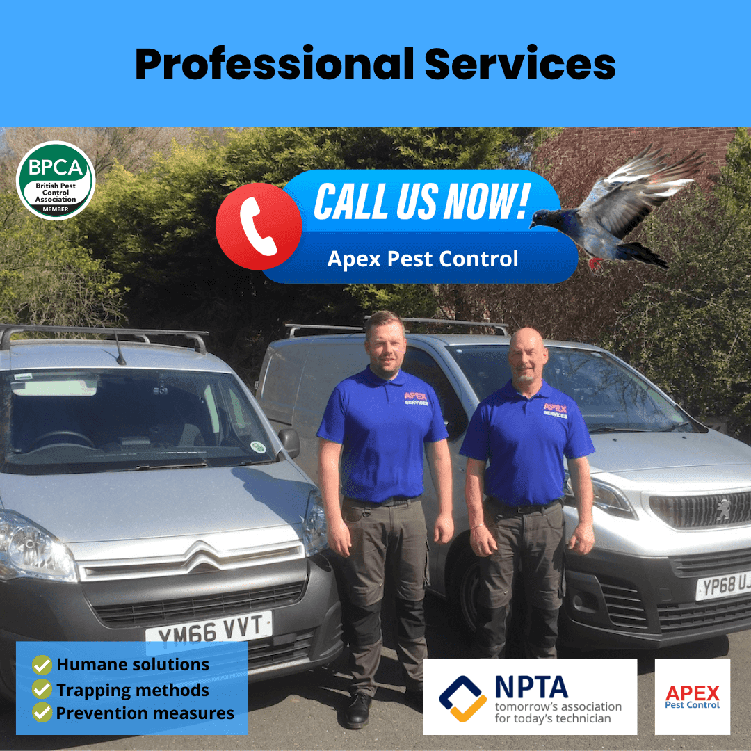 Professional Services