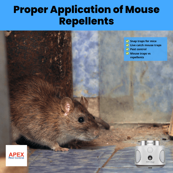 proper application of mouse repellents