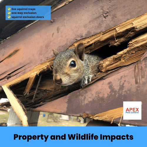 property and wildlife impacts