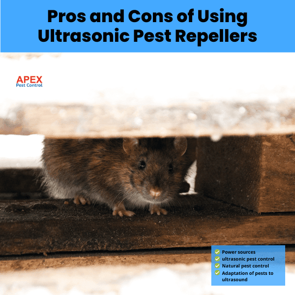 pros and cons of using ultrasonic pest repellers