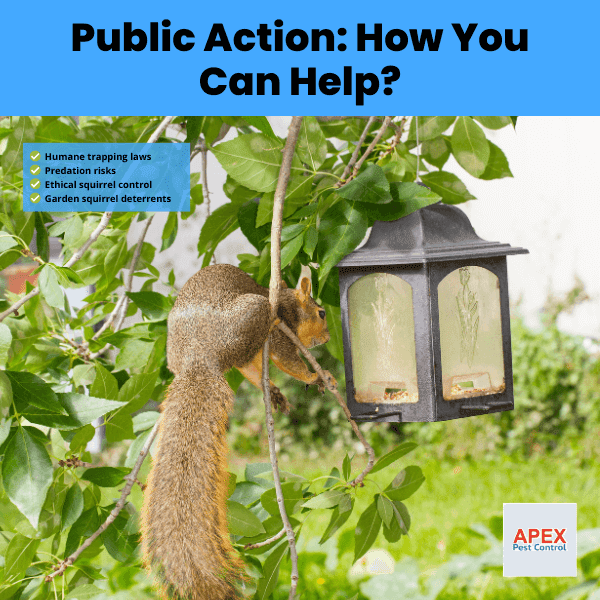 public action how you can help