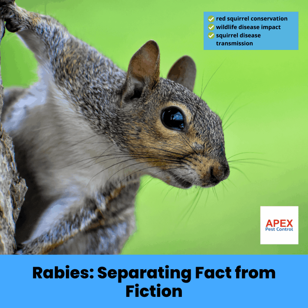 rabies separating fact from fiction