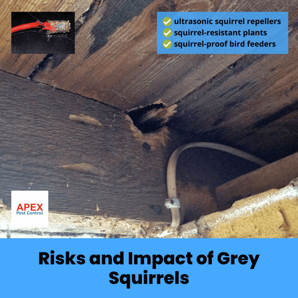 risks and impact