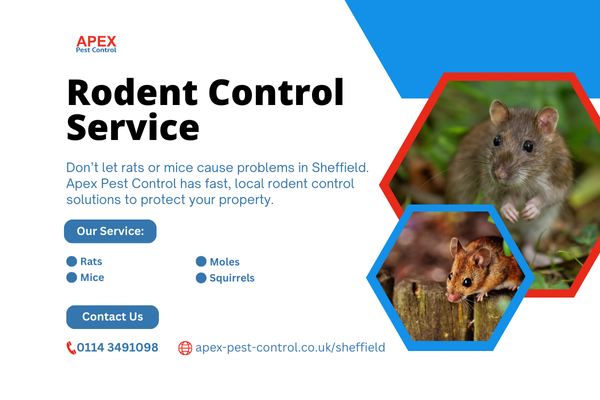 rodent control sheffield