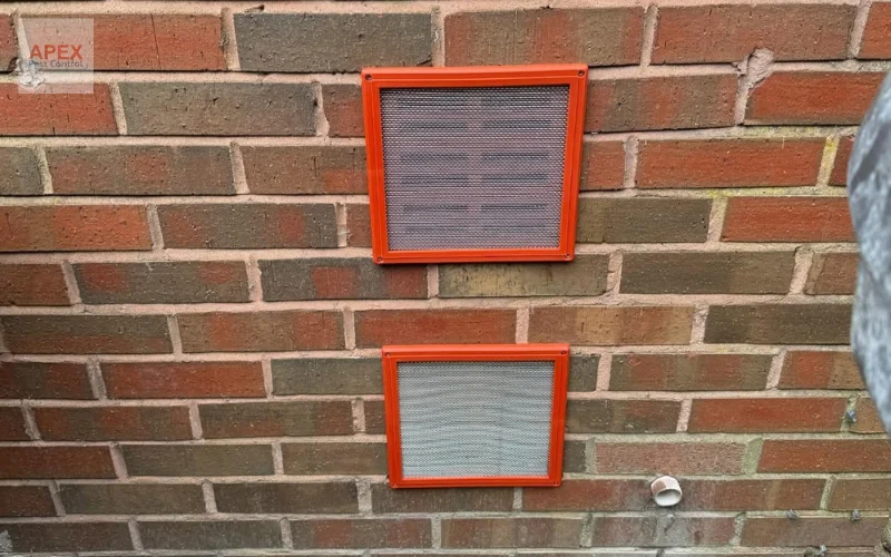 Rodent proofing over airbricks to prevent rat re-entry in Leeds property